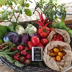 Vakantieboerderij Bio Agricoccinella *
